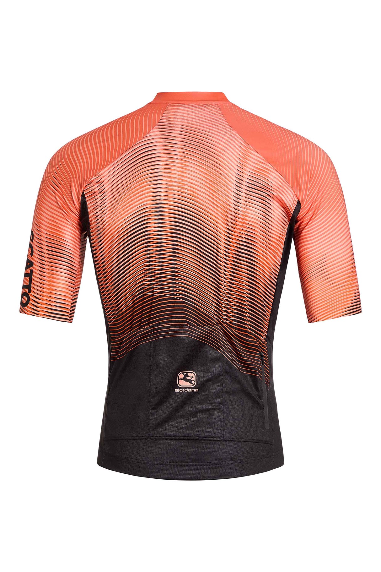 Giordana Men's Scatto Short Sleeve Jersey