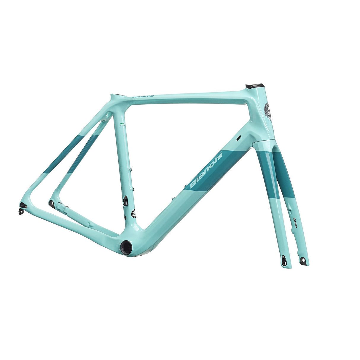 Cuadro Bianchi Infinito CV Disc