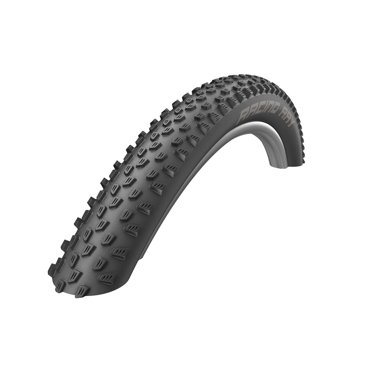 Schwalbe Racing Ray Performance Addix Tubeless 29" Tire