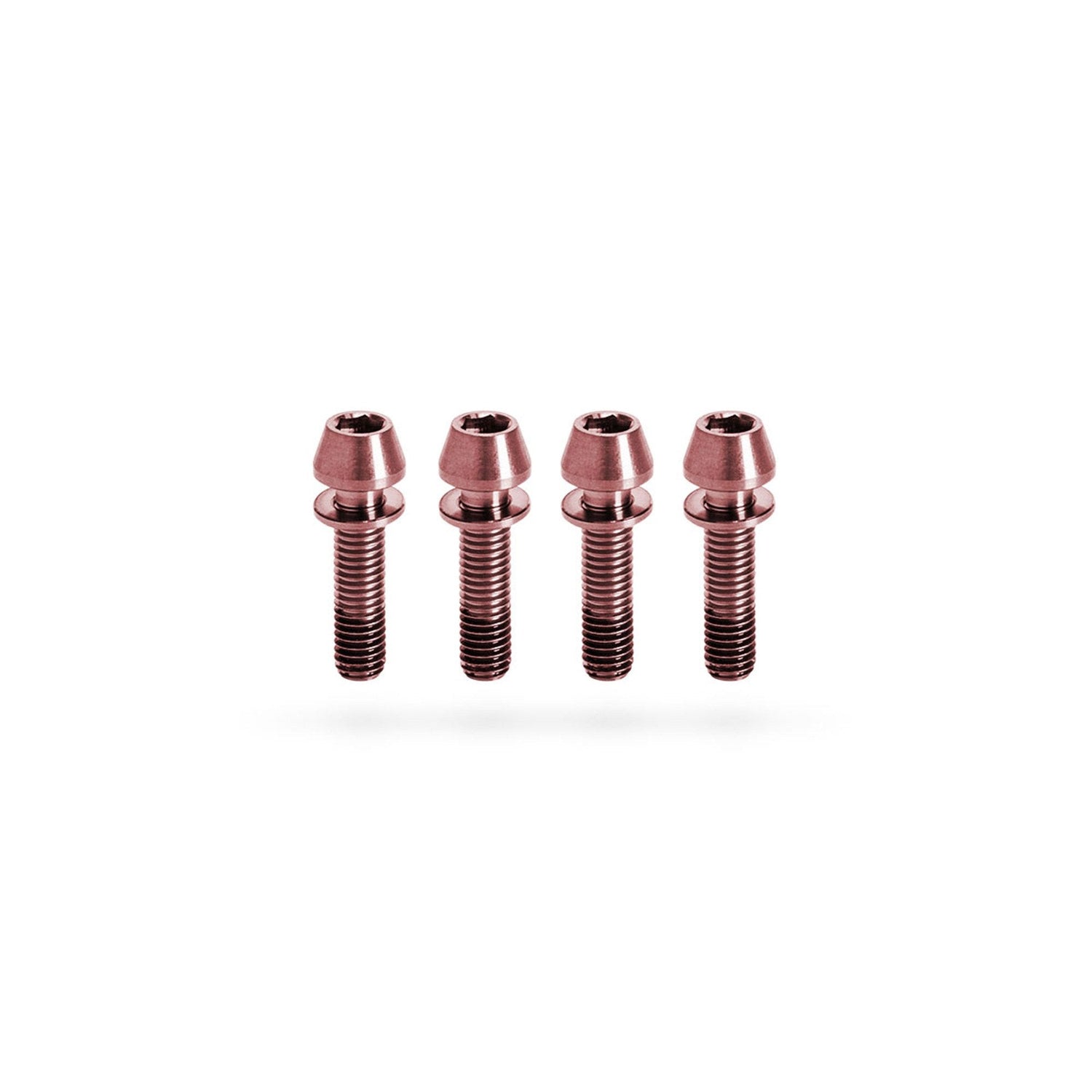 Kogel Ti Bolt Kit for Stems