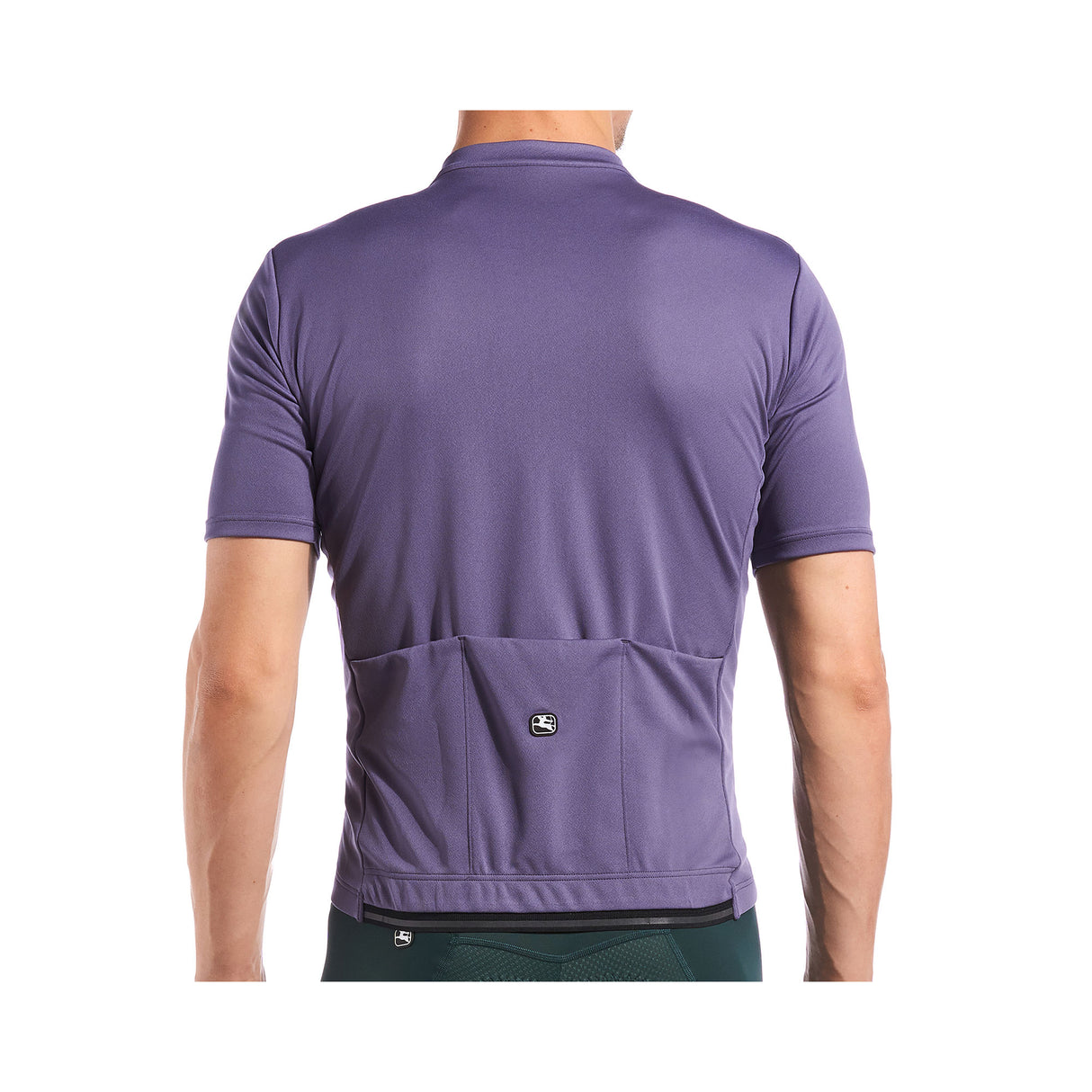 Giordana Fusion Short Sleeve Jersey Mens