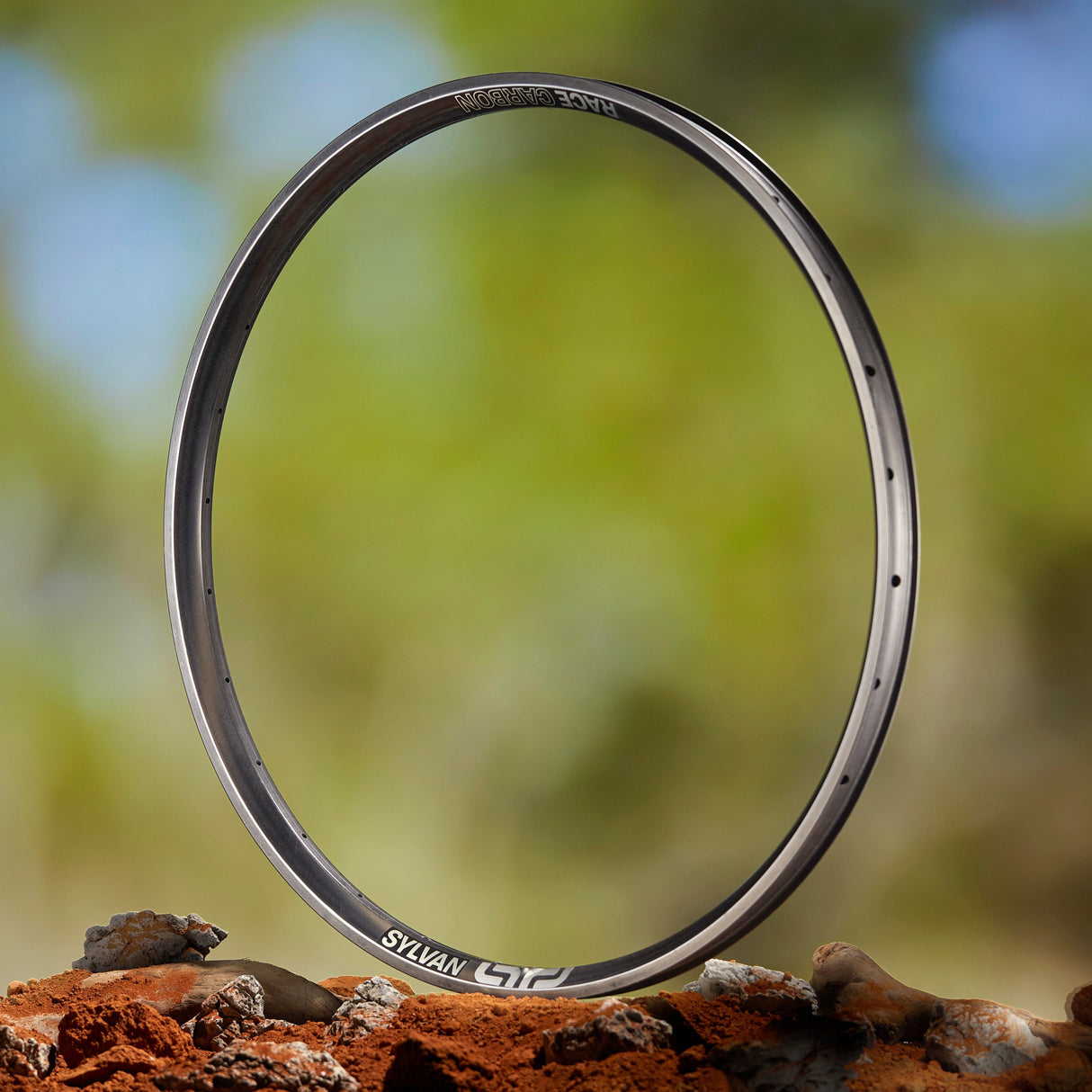 ethirteen Sylvan Race Carbon All Mountain Rim