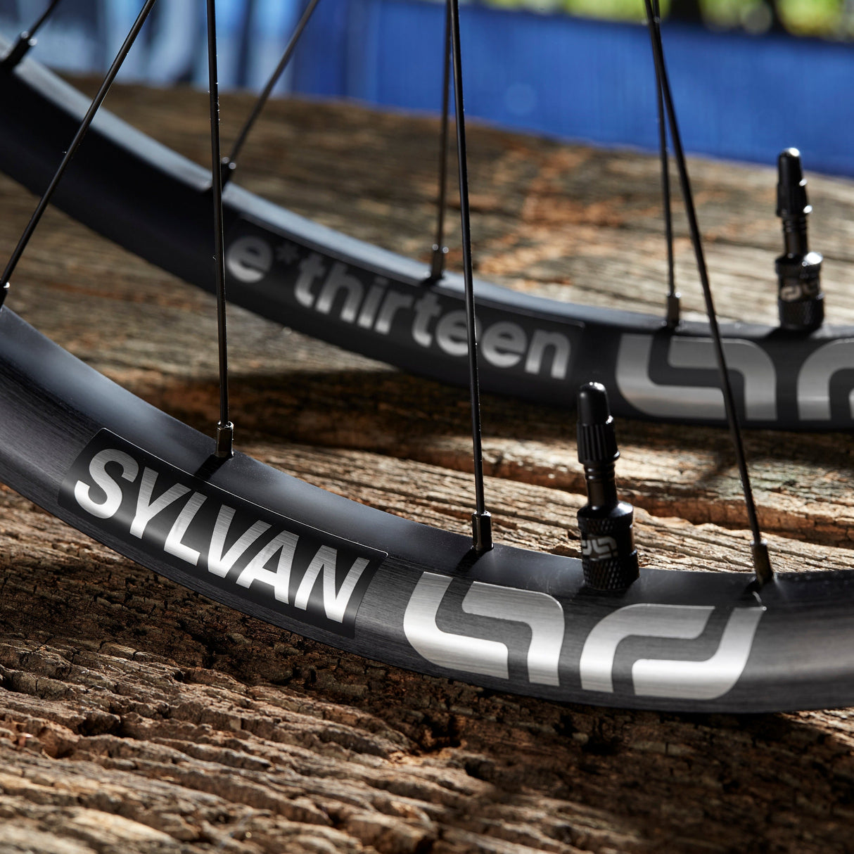 ethirteen Sylvan Race Alloy e*spec All Mountain Wheels - Superboost 157 Rear