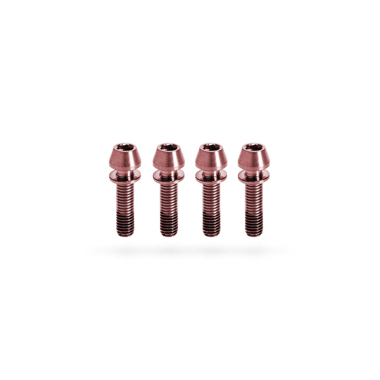 Kogel Ti Bolt Kit for Stems Rose