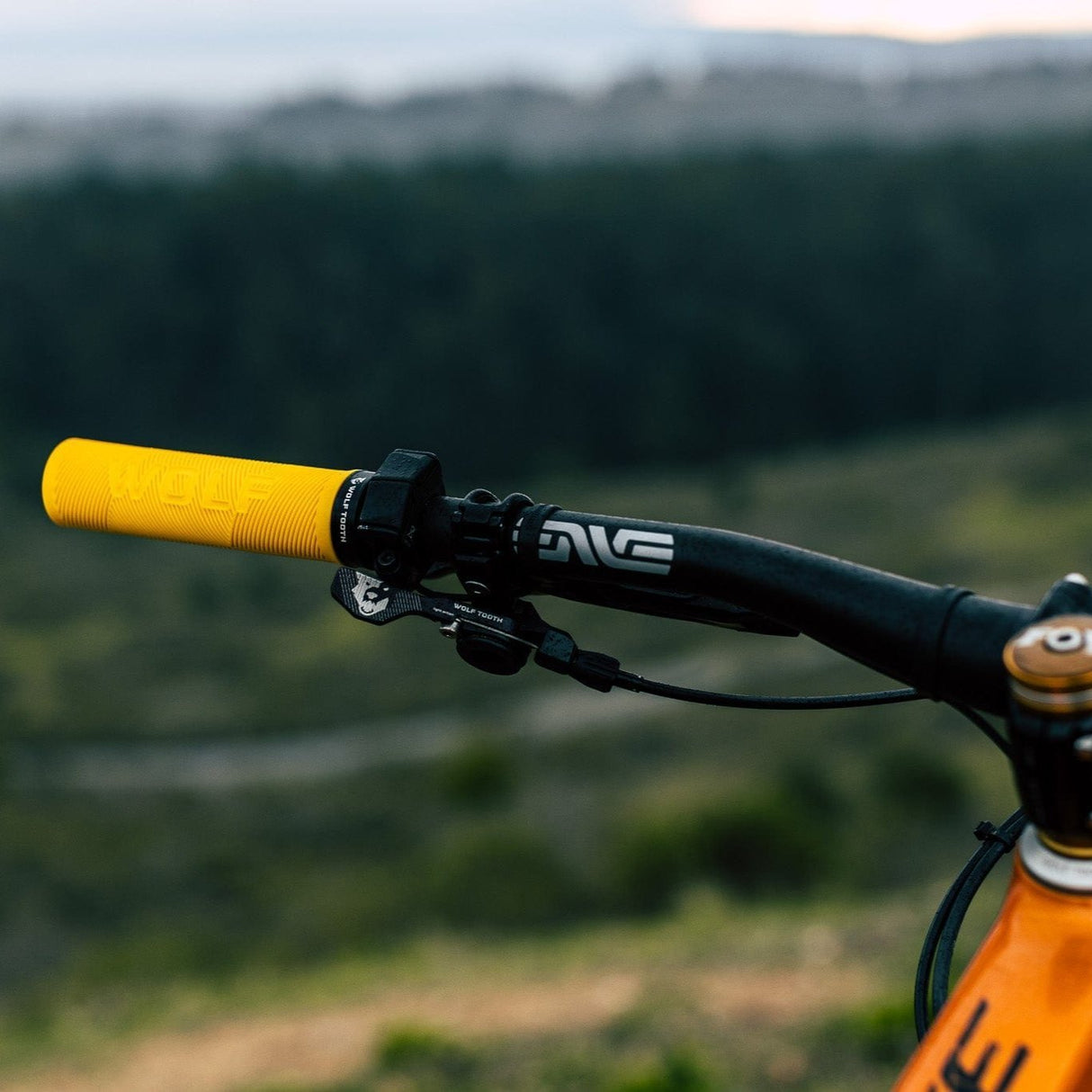 Wolf Tooth Echo Lock - On Grips – Colors Blue