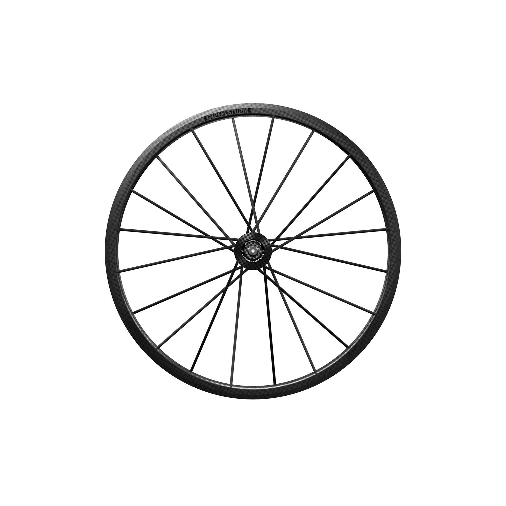 パーツ Lightweight Fernweg evo Schwarz Edition Lightweight Fernweg EVO 63/85 Disc Tubeless Schwarz Edition