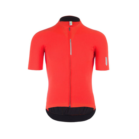Camiseta de manga corta profesional con raya Q36.5