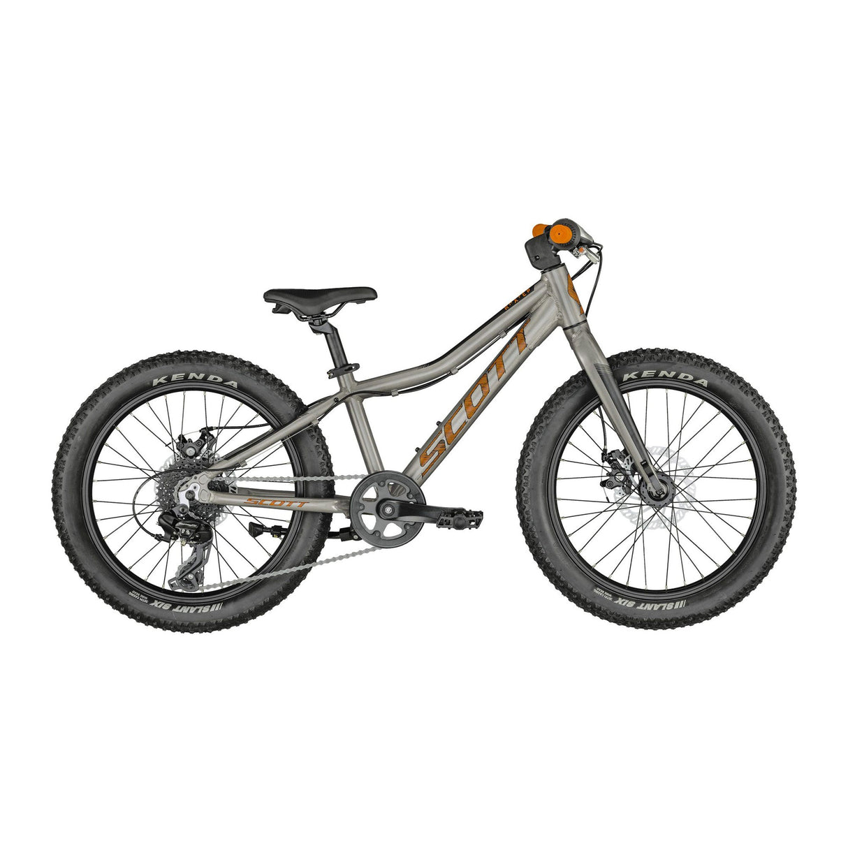 Scott Roxter 20 Bike