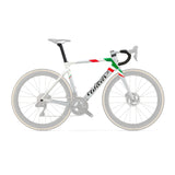 Wilier Filante SLR Frameset