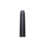 WTB Horizon TCS Tubeless Tire - 650b