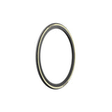 Pirelli Cinturato EVO TLR Tire