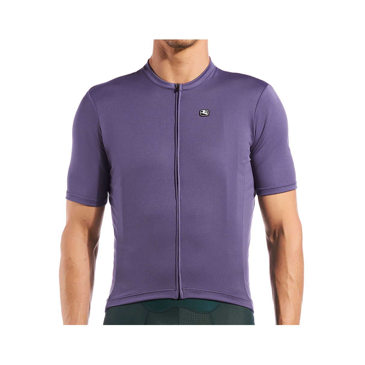 Giordana Fusion Short Sleeve Jersey Mens