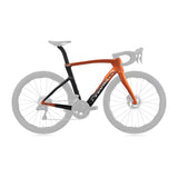 Cuadro Pinarello Dogma F
