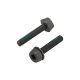 Campagnolo Disc Caliper Fixing Screws