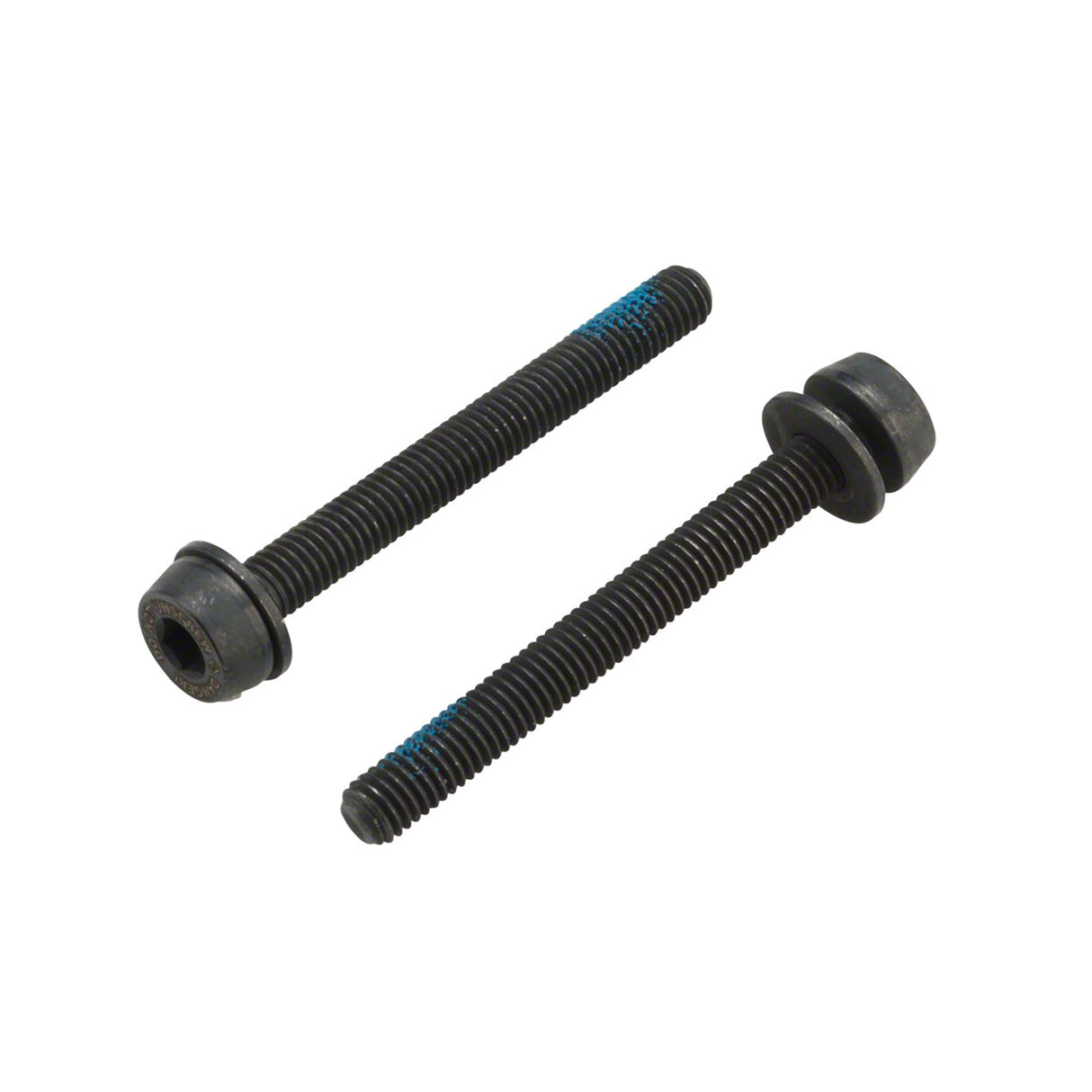 Campagnolo Disc Caliper Fixing Screws