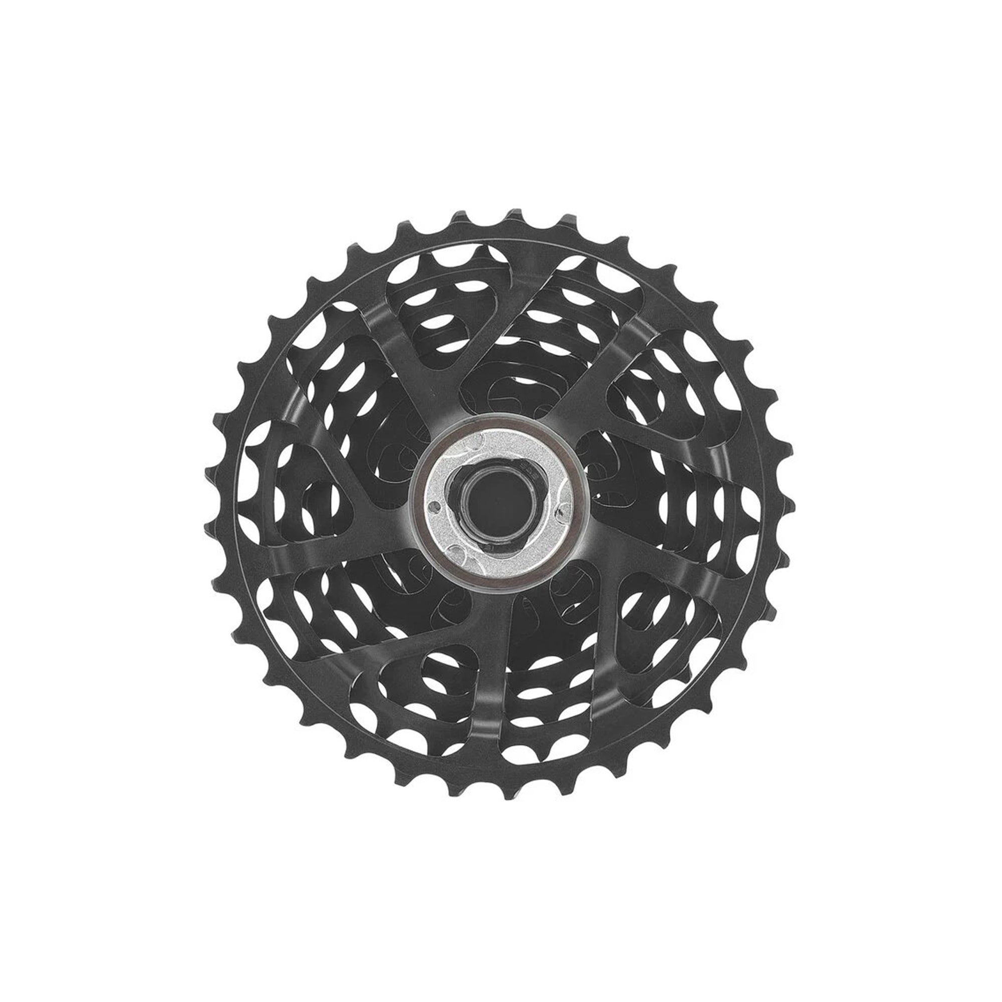 Campagnolo Components | RA Cycles