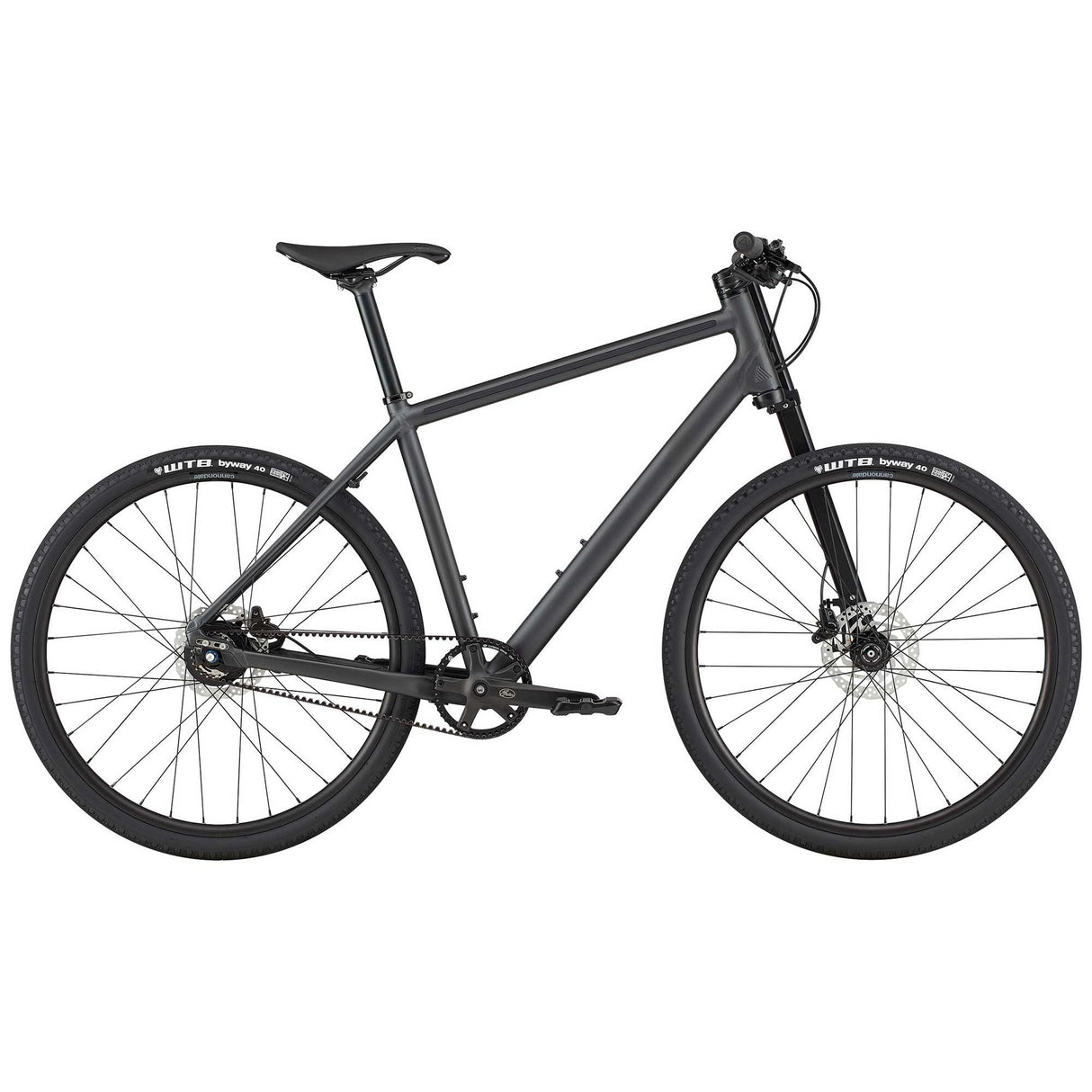 Cannondale Bad Boy 1 Bike