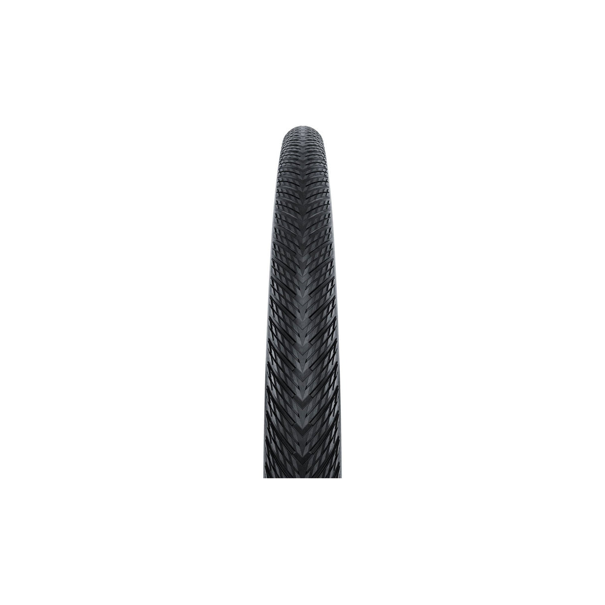 Continental Terra Competition Race Casing Tubeless Tire