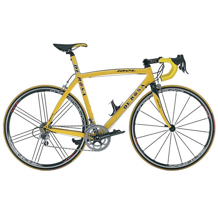 Cuadro De Rosa IDOL