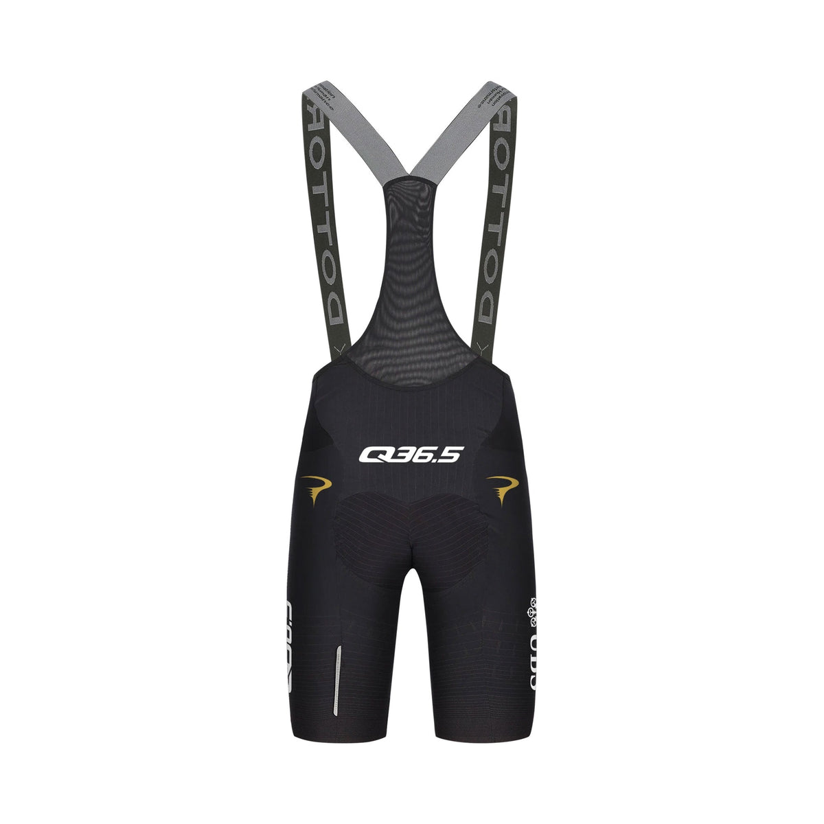 Q36.5 Dottore Pro Cycling Team Bib Shorts