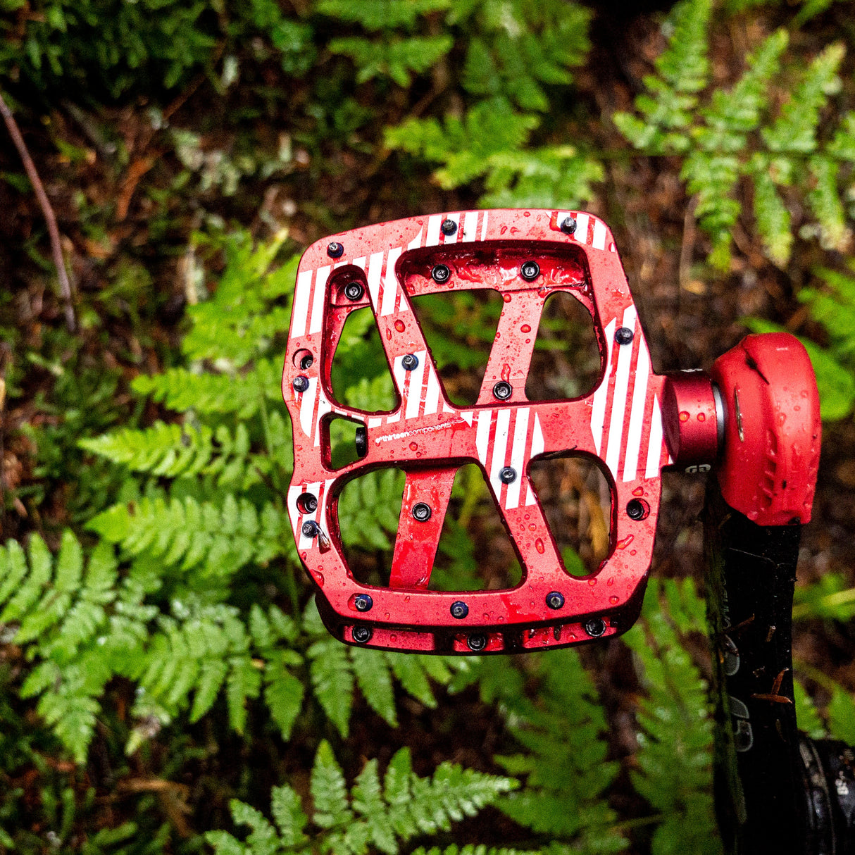 ethirteen Aluminum Plus Pedal