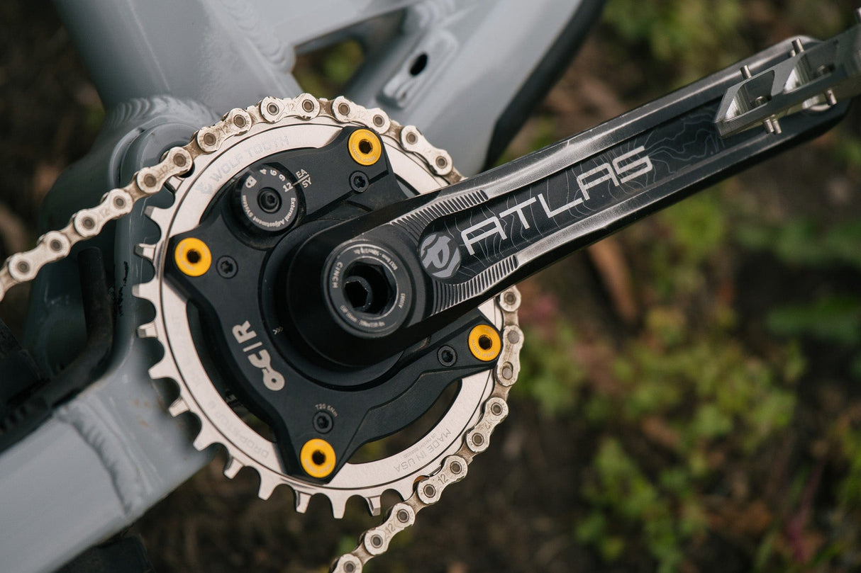 Wolf Tooth 104 BCD Chainrings - Raw Silver