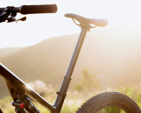 Wolf Tooth Resolve Dropper Post rev2