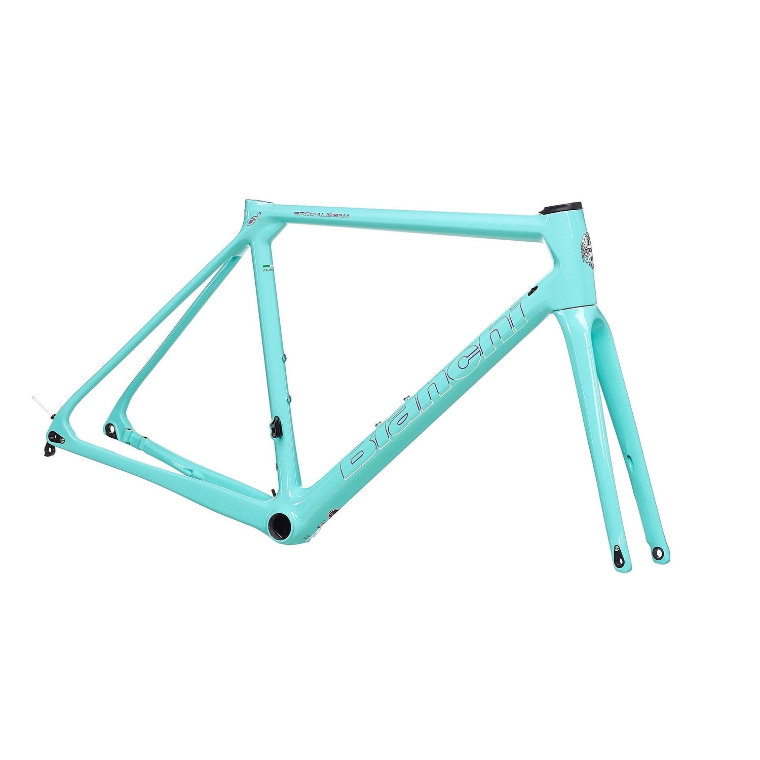 Bianchi Specialissima CV Disc 1