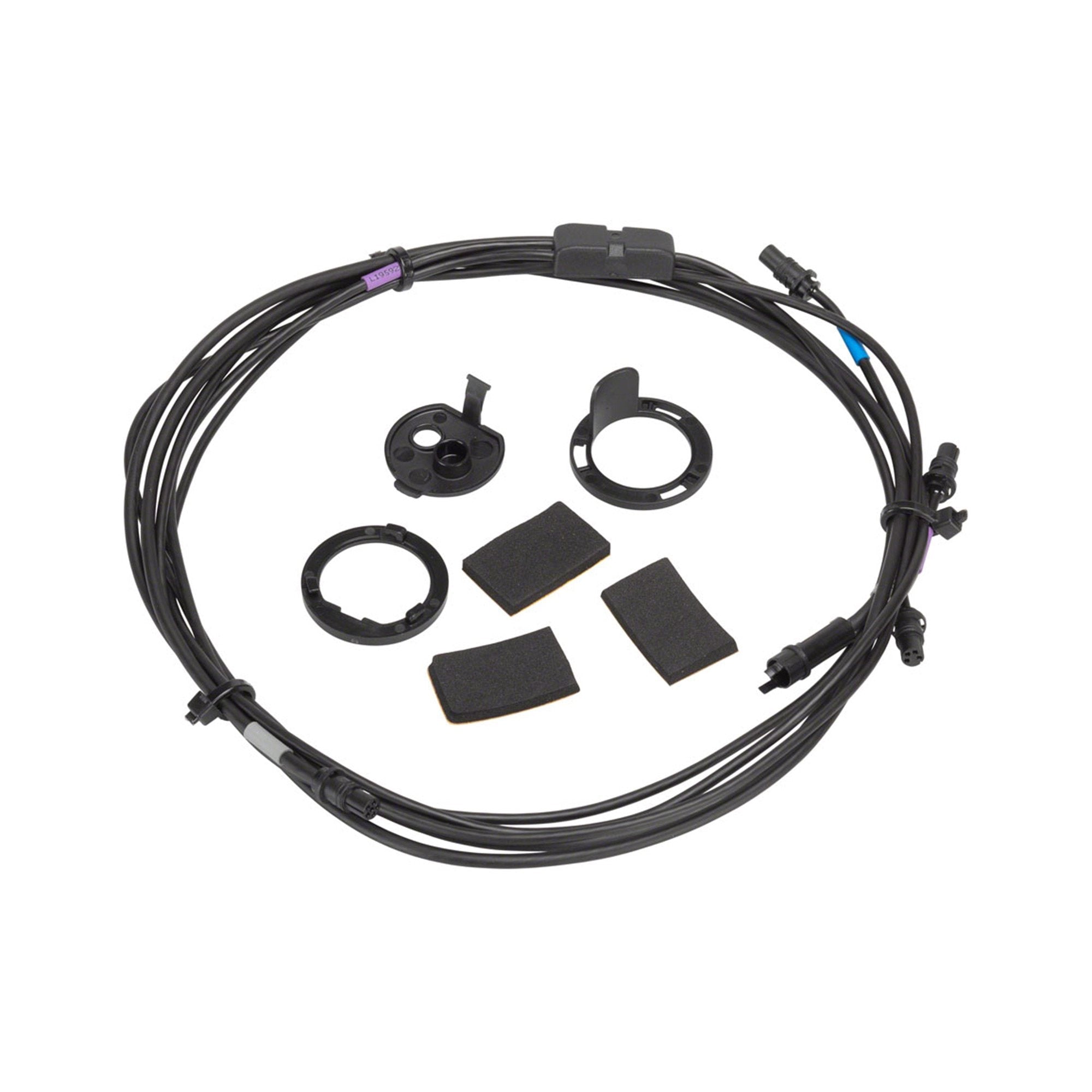 Campagnolo EPS V4 Internal Interface | RA Cycles