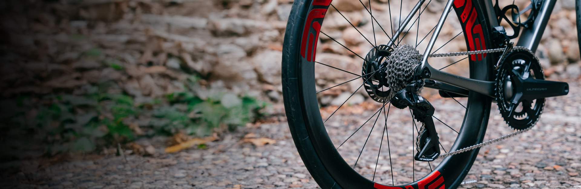 CeramicSpeed Alpha Logo