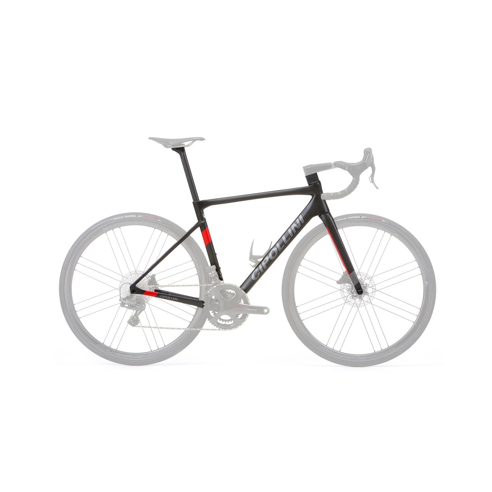 cipollini-dolomia-disc-
