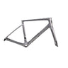 ENVE Fray Frameset GT Silver