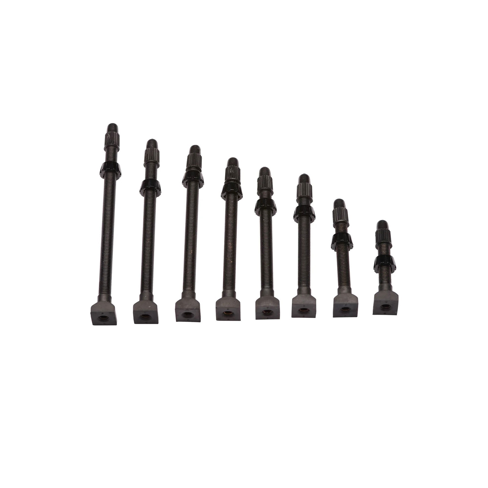 ENVE Tubeless Valve Stem - Single | RA Cycles