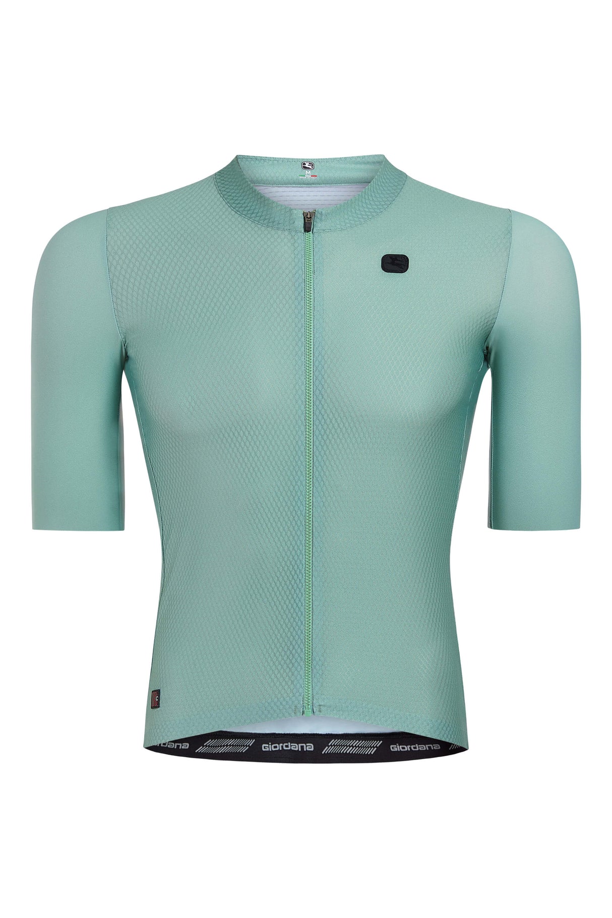 Giordana Men's FR-C Pro Jersey