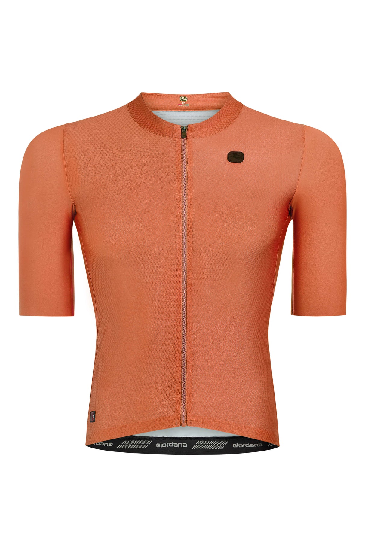 Giordana Men's FR-C Pro Jersey