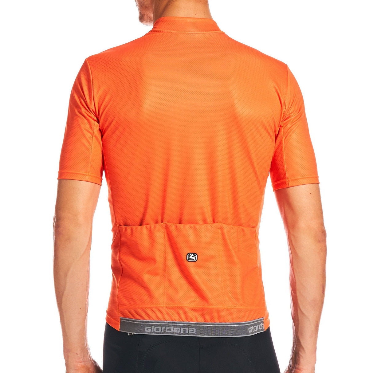 Giordana Men's Fusion Jersey