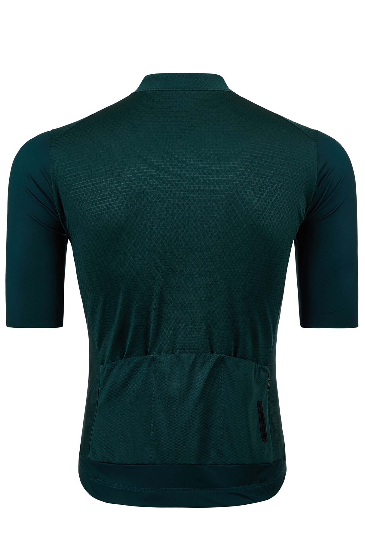 Giordana Men's FR-C Pro Jersey
