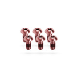 Kogel Ti Bolt Kit for Disc Rotors Rose