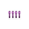 Kogel Ti Bolt Kit for Stems Purple