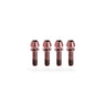 Kogel Ti Bolt Kit for Stems Rose