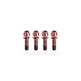 Kogel Ti Bolt Kit for Stems Rose