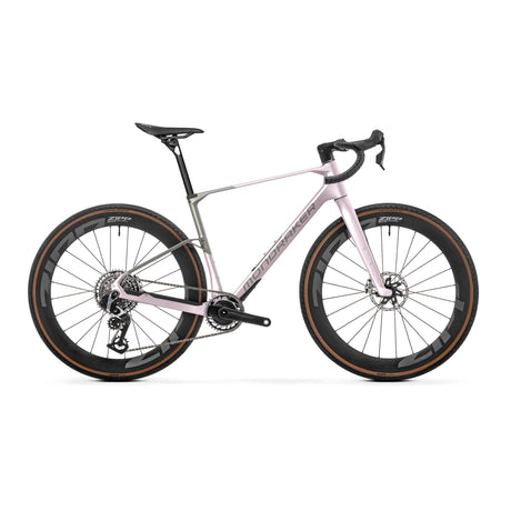 Mondraker Arid Carbon RR SL Bike Mirage Silver