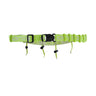 Orca Race Belt Neon Yellow