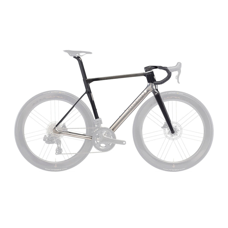 Passoni Titanium Bikes | RA Cycles