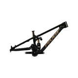 Pivot Phoenix Frame Black Gold