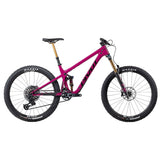 Pivot Shadowcat Pro X0 Eagle Transmission Danger Fruit