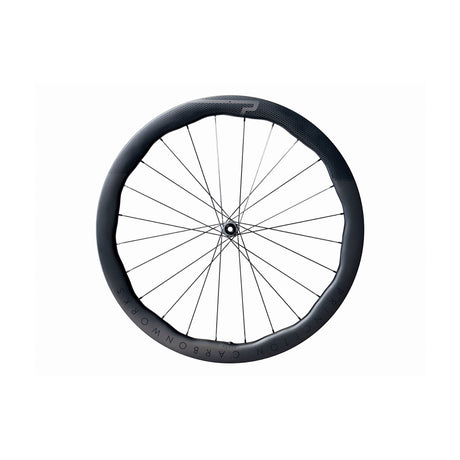 Princeton Peak 4550 EVO Disc Brake Wheel DT Swiss 180 Front Matte Black