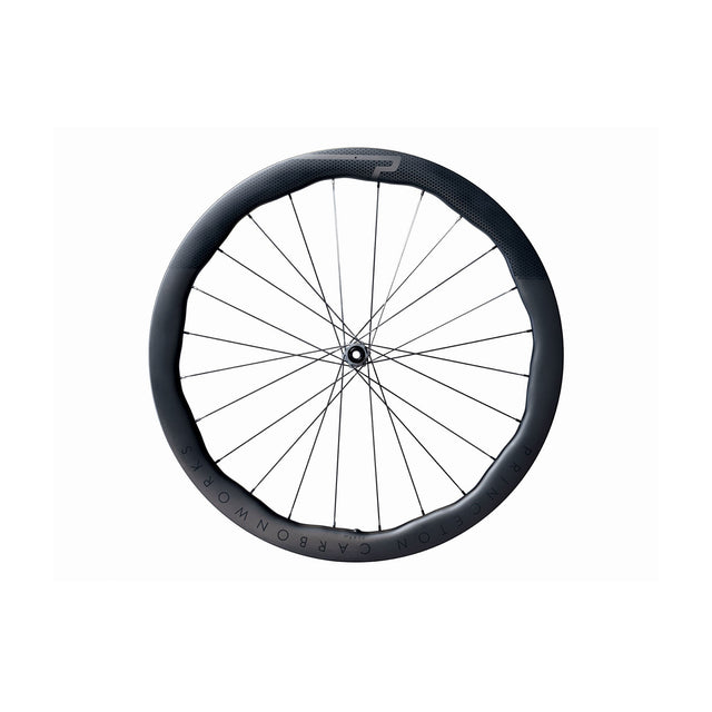 Princeton Peak 4550 EVO Disc Brake Wheel DT Swiss 180 Front Matte Black