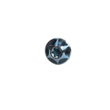 Silca Titanium Bottle Cage Bolts - Set of 4 Aqua Ano