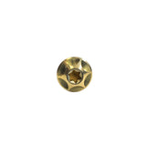Silca Titanium Bottle Cage Bolts - Set of 4 Gold Ano